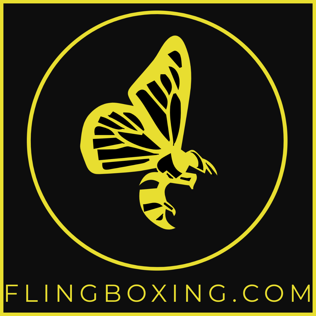 Website Fling Boxing